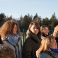 IMG 4268