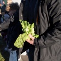 IMG 4289