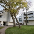 IMG 7742