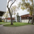 IMG 7729