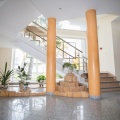 IMG 7917