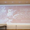 IMG 9552