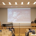 IMG 9551