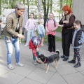 IMG 5685