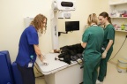 Kriaučeliūno klinikos pacientai