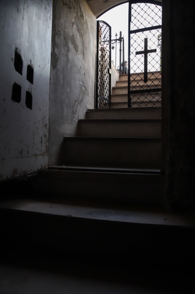 IMG 7313