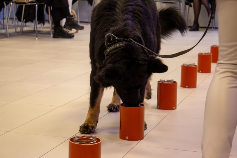 IMG 3766