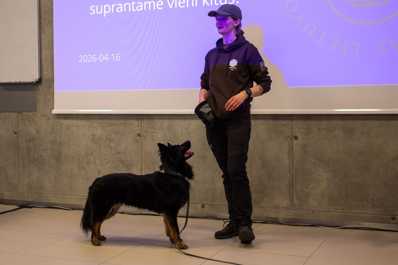 IMG 3755